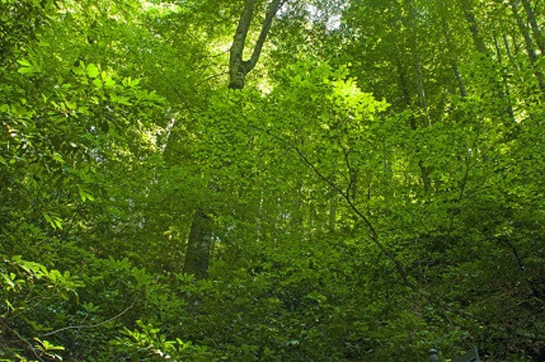 Kaf Dağı’nın ardından gelen tatların peşinde