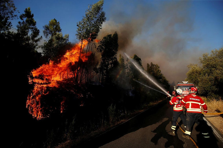 Yangınlar için 91 kişi gözaltına alında