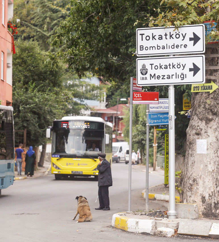 O yolda mutlaka  fotoğrafınız olsun