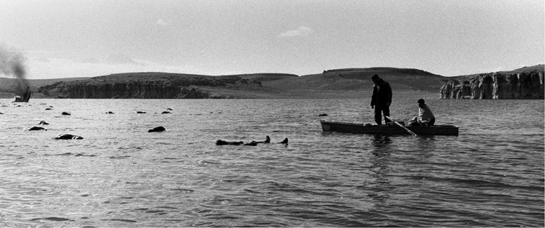Bunlar da  ‘Krallarının ajanı’