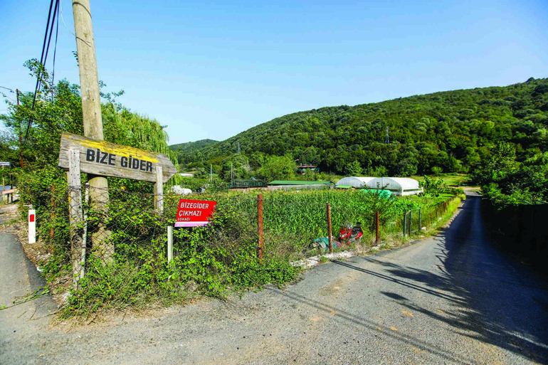 Bana doğru söyleyin burası İstanbul mu