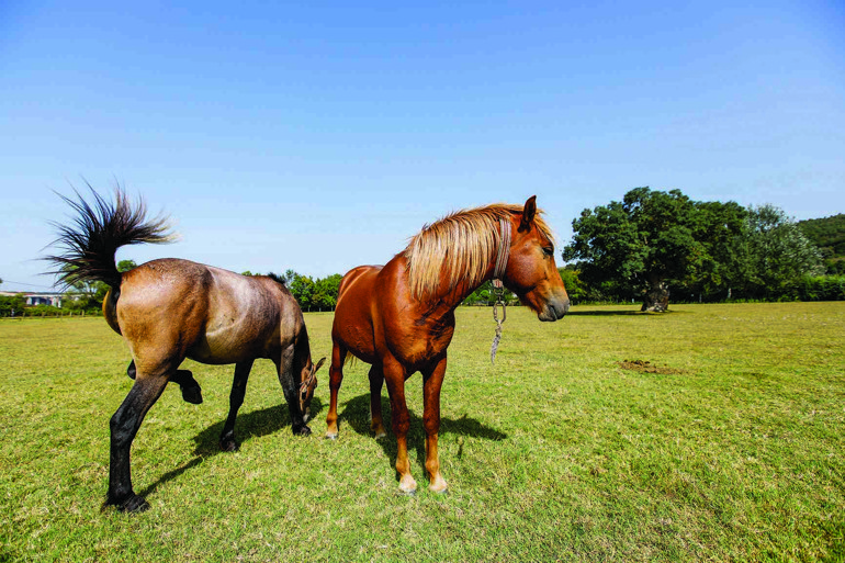 Bana doğru söyleyin burası İstanbul mu