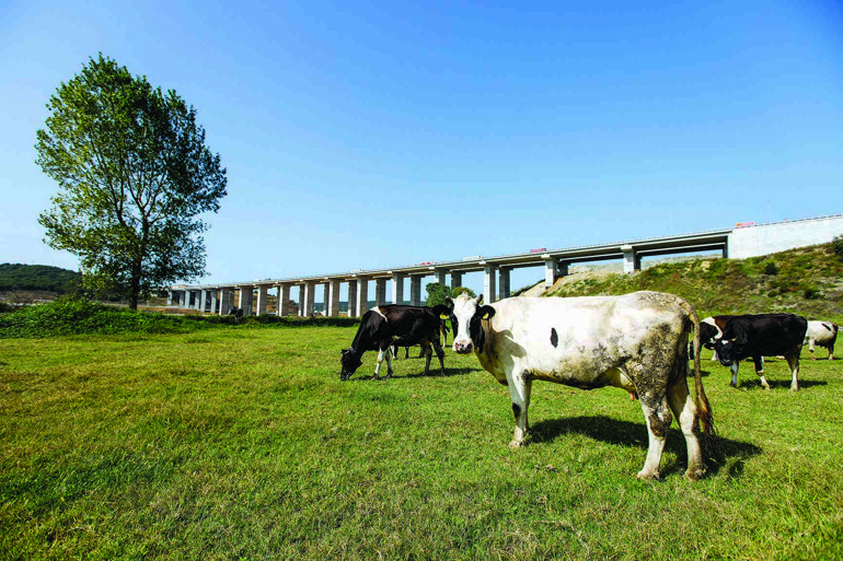 Bana doğru söyleyin burası İstanbul mu