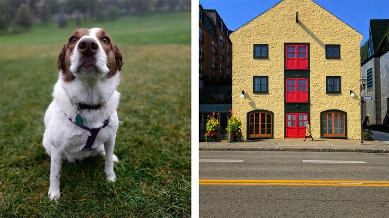 Google Pixel 2 nasıl fotoğraf çekiyor