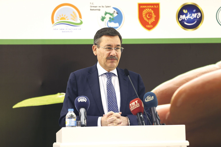AK Parti’nin en sevdiği tartışma: Müftü nikâhı