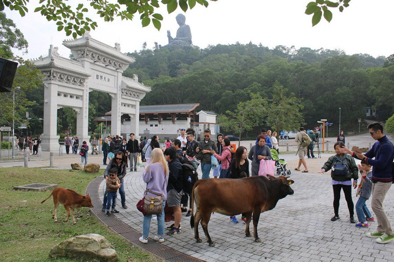 Hong Kong’da hayat 24 saat akıyor