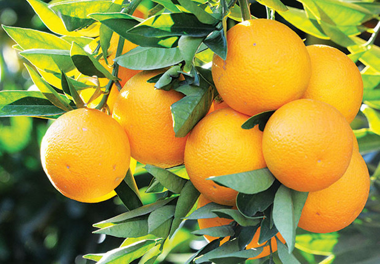 Soğuklara karşı alabileceğimiz sıcacık, mutlu, sağlıklı ve romantik 50 tedbir