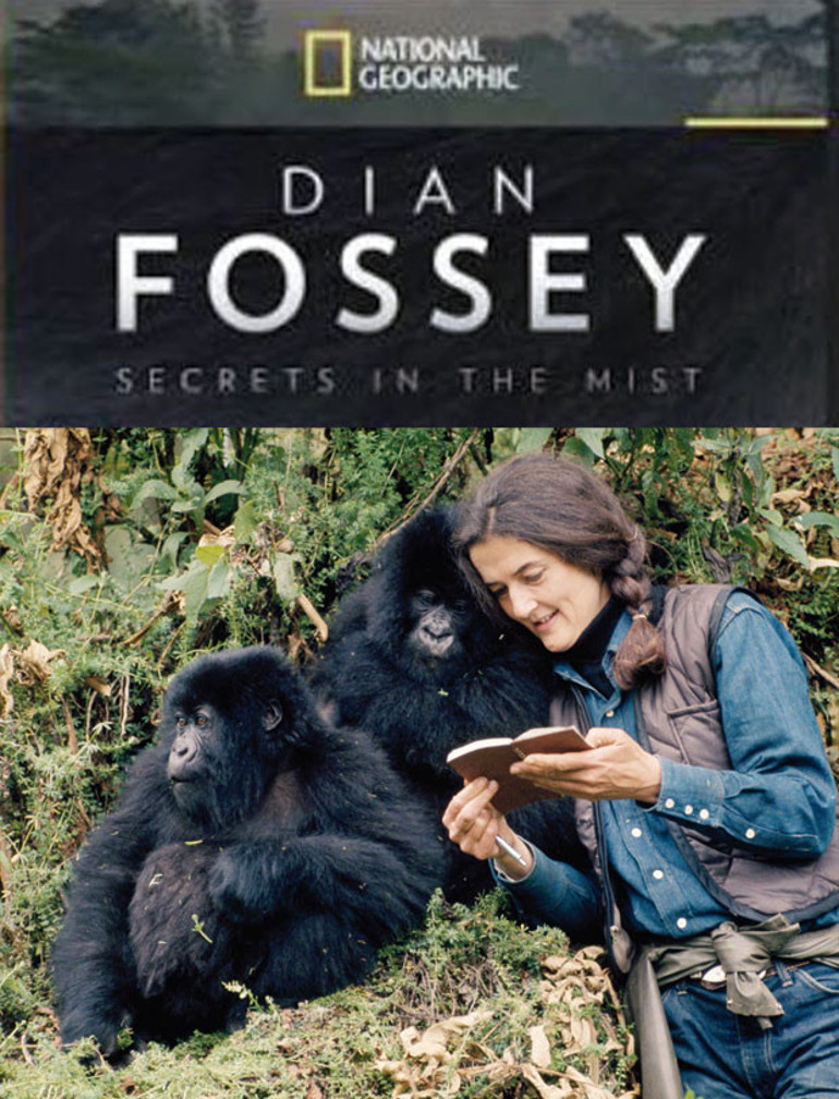 Dian Fossey neden öldürüldü