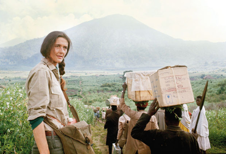 Dian Fossey neden öldürüldü