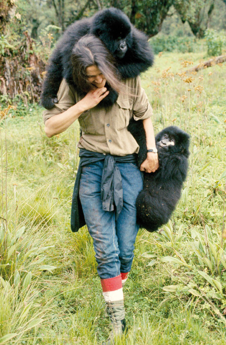 Dian Fossey neden öldürüldü