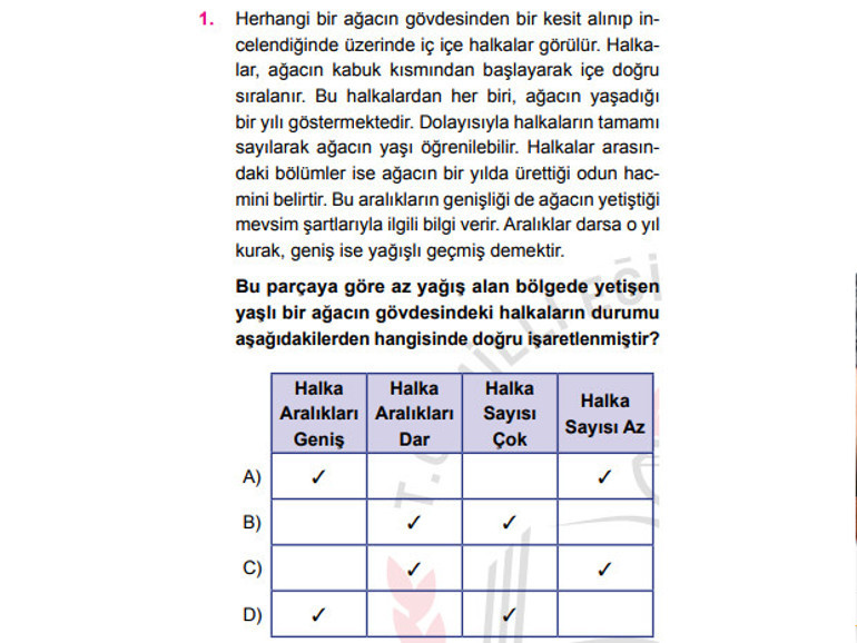 Liselere geçiş sınavı (LGS) tarihi açıklandı... İşte liselere geçiş sınavının örnek soruları