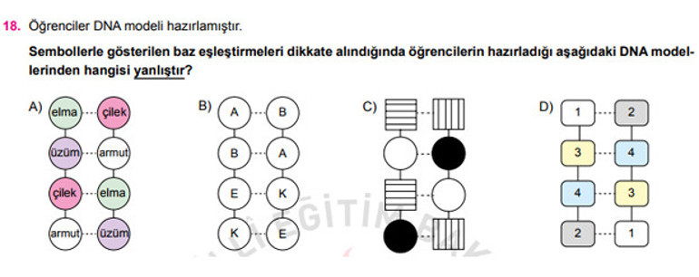 Liselere geçiş sınavı (LGS) tarihi açıklandı... İşte liselere geçiş sınavının örnek soruları