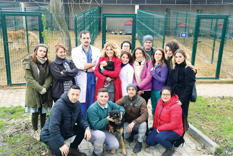 Sahipli sahipsiz fark etmez hayvana şiddet kabahat değil suçtur