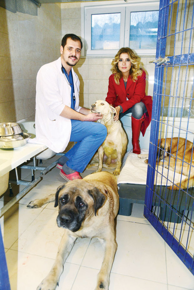 Sahipli sahipsiz fark etmez hayvana şiddet kabahat değil suçtur