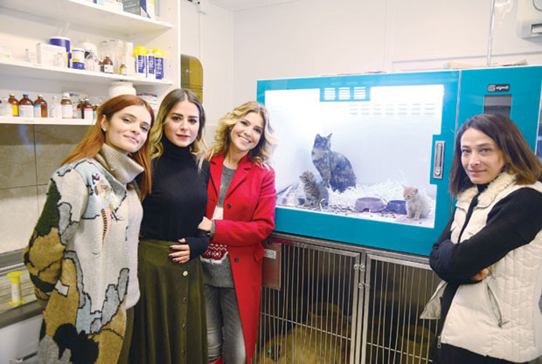 Sahipli sahipsiz fark etmez hayvana şiddet kabahat değil suçtur