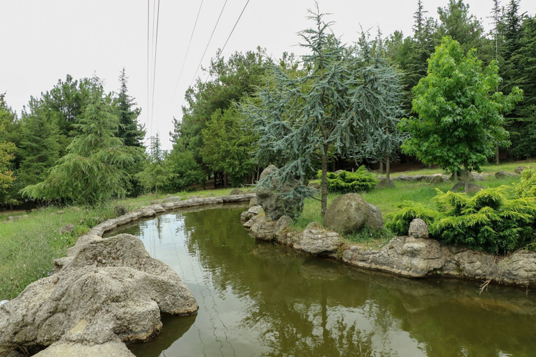 Karadenizin en özel cennet köşesi:  Samsun Tabiat Parkları