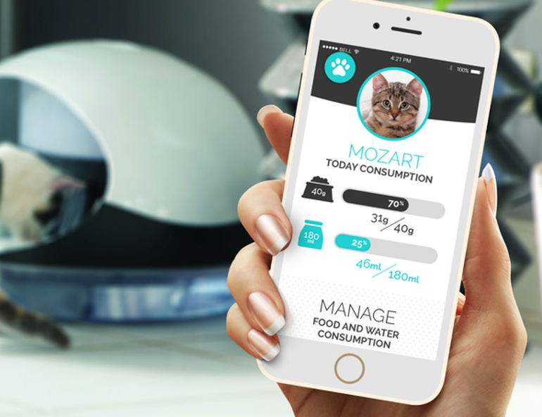 Kediniz artık Catspad otomatik besleyecek