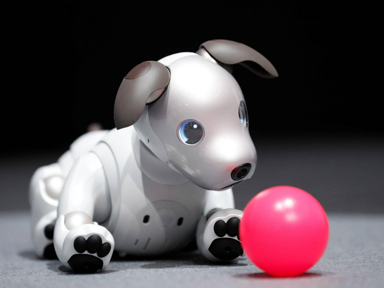 Bu da robot köpek: Aibo karşınızda
