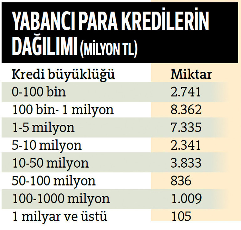 Döviz  borcuna yasak imzada