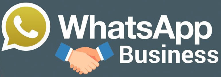Whatsapp Business nedir Resmen yayında