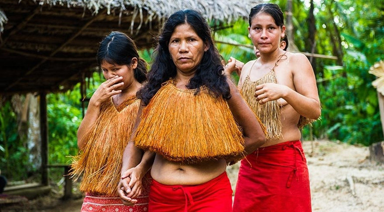 Dünyanın oksijen kaynağı: Amazon yağmur ormanları