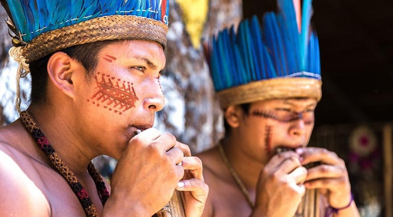 Dünyanın oksijen kaynağı: Amazon yağmur ormanları