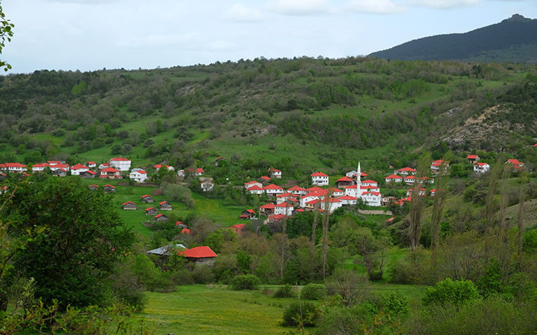 Dereler, yaylalar, lezzetli yemekler kenti