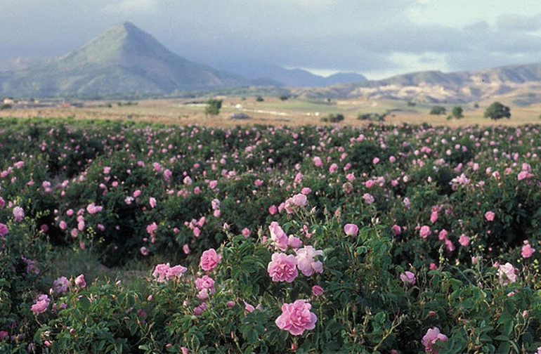 Haftanın kaçırılmaması gereken seyahat fırsatları