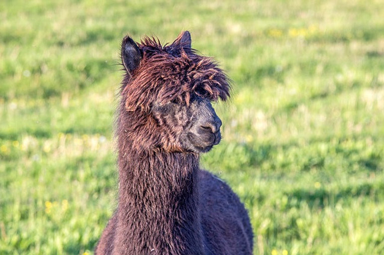 Haftanın kaçırılmaması gereken seyahat fırsatları