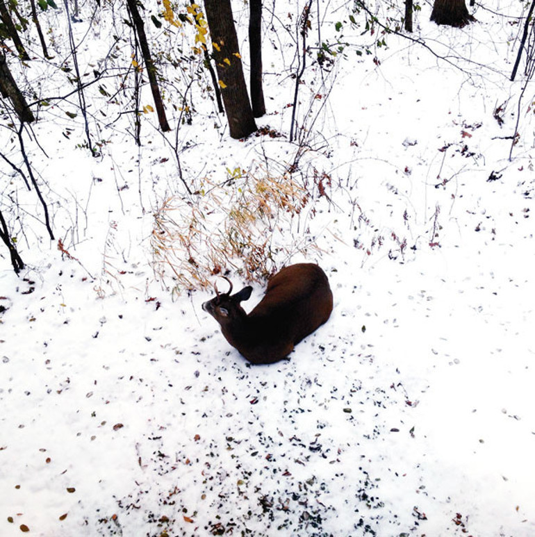-37 dereceye neden göçtüm