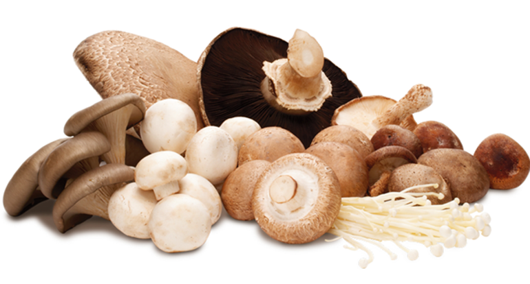 7 uzmandan 7 diyet... Sezona formda ve sağlıklı giriyoruz