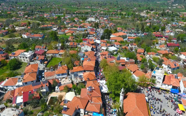 Fethiye’de Kuzu Göbeği Mantarı Festivali