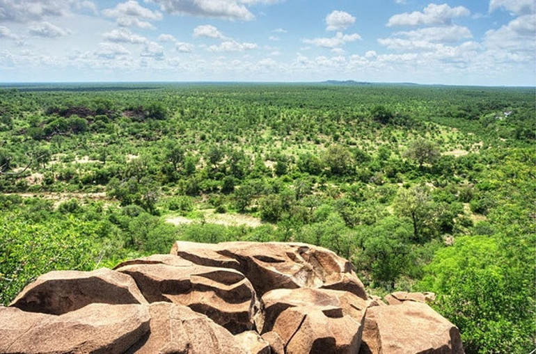 Vahşi doğanın kalbi: Kruger Ulusal Parkı