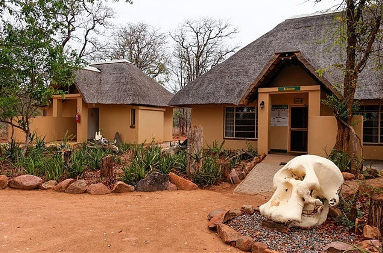 Vahşi doğanın kalbi: Kruger Ulusal Parkı