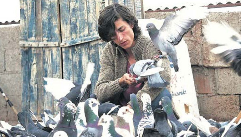 Altın Lale Westernin