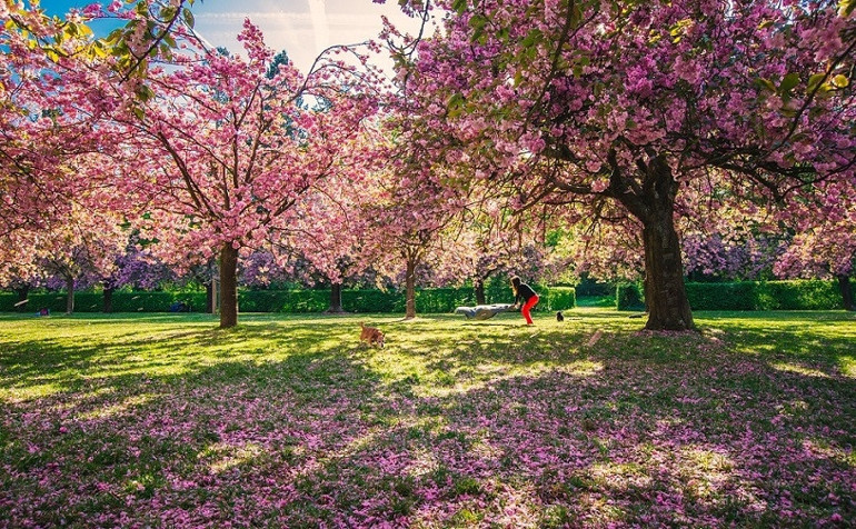 İlkbaharda Paris seyahati planlayanlar için ipuçları
