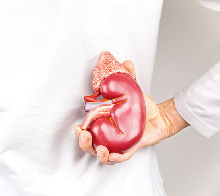 Neden meyvesiz olmaz