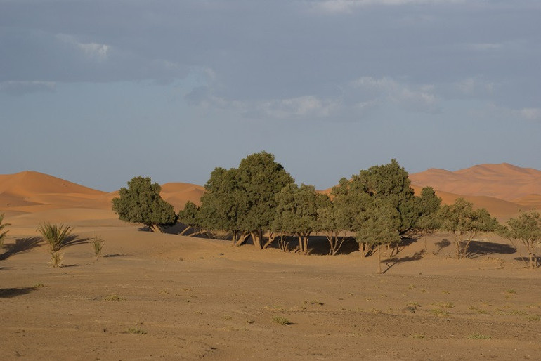 Fas’ın çöldeki masalsı köyleri