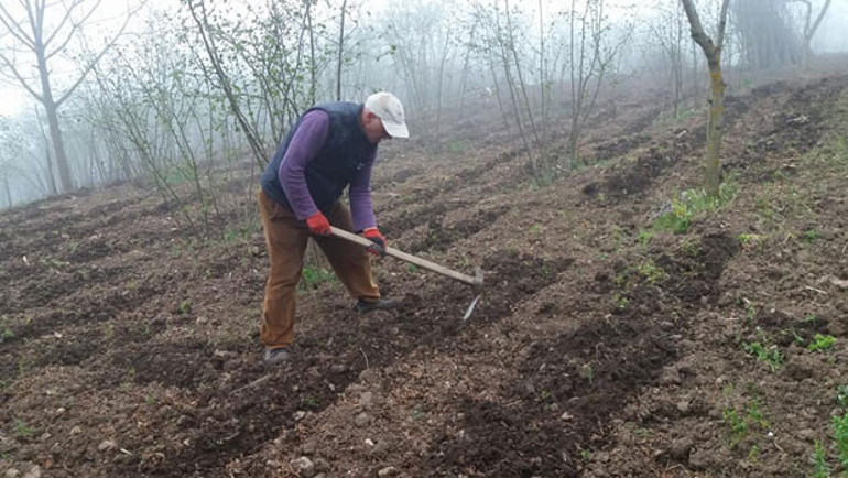 Eski milletvekili her şeyi bırakıp köy yerleşti