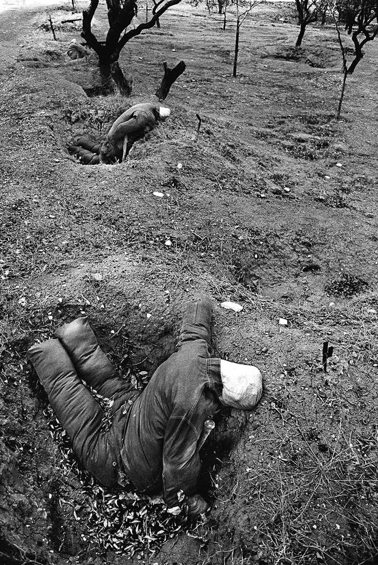 Ölüme iyi gelen sergi