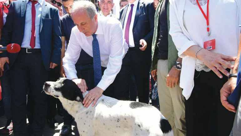 Valilerin hepsini değiştireceğim