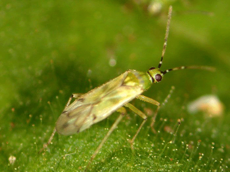 TUTA İÇİN ORTAK EYLEM PLANI UYGULAMADA