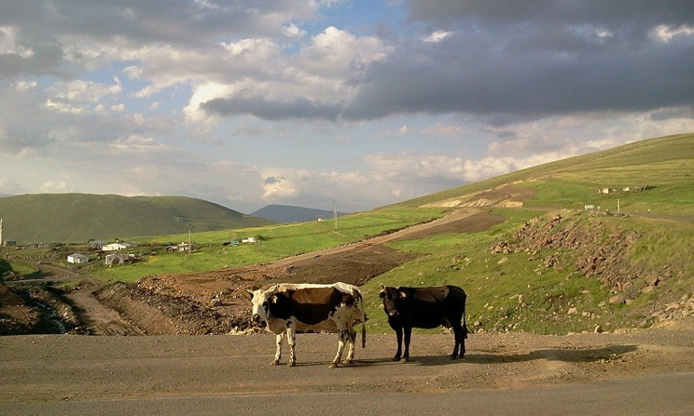 Yeşilin binbir tonu: Karadeniz