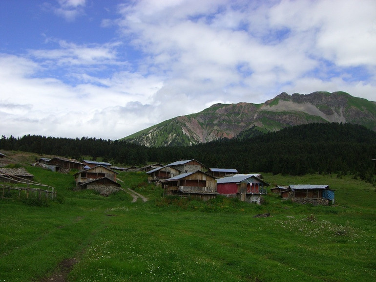 Yeşilin binbir tonu: Karadeniz