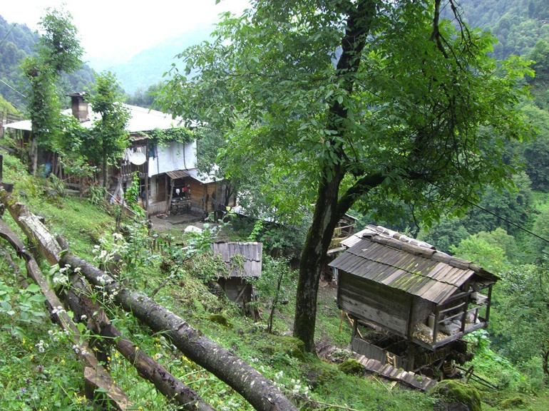 Yeşilin binbir tonu: Karadeniz