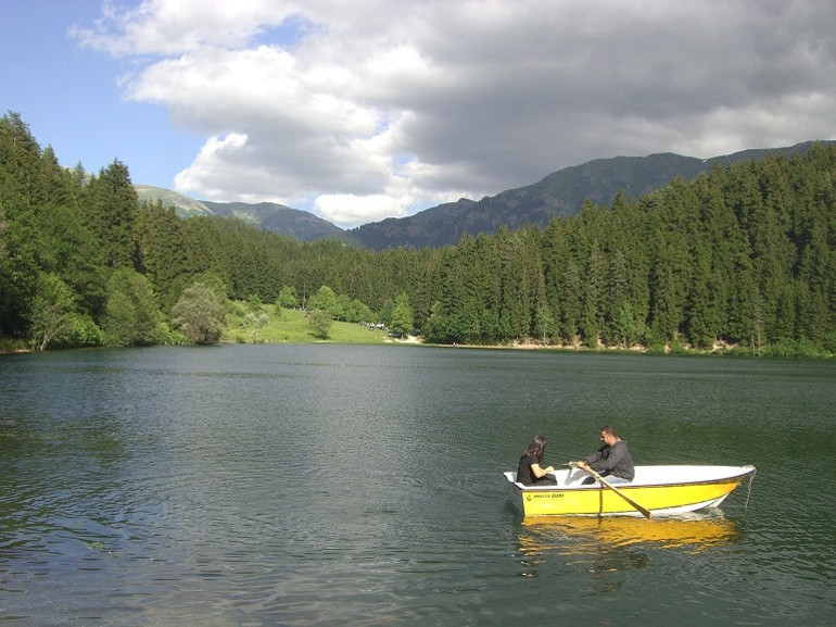 Yeşilin binbir tonu: Karadeniz