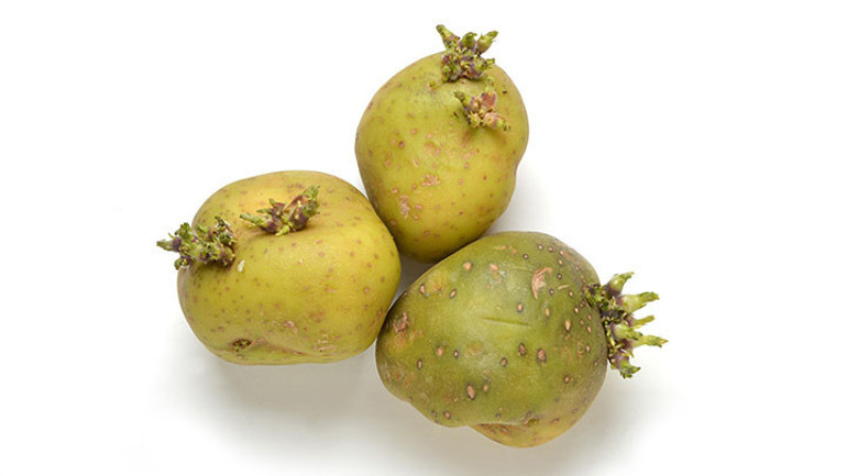 Yiyeceklerin bozulduğu nasıl anlaşılır En işe yarar tüyolar...