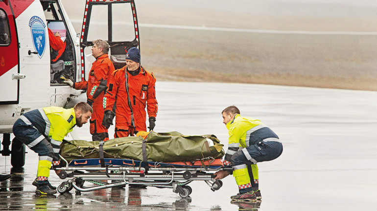 İnsan kurtuldu, ayı öldürüldü