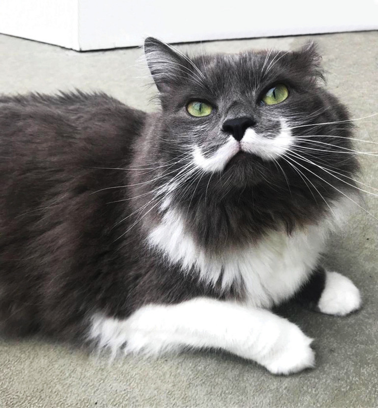 Tırmıklarıyla kazandılar