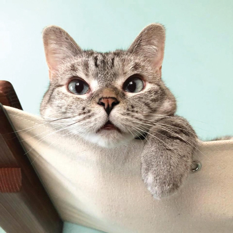 Tırmıklarıyla kazandılar